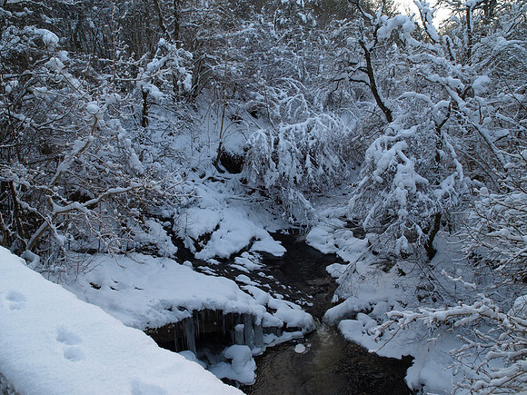 January2010-7