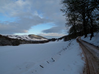 January2010-8
