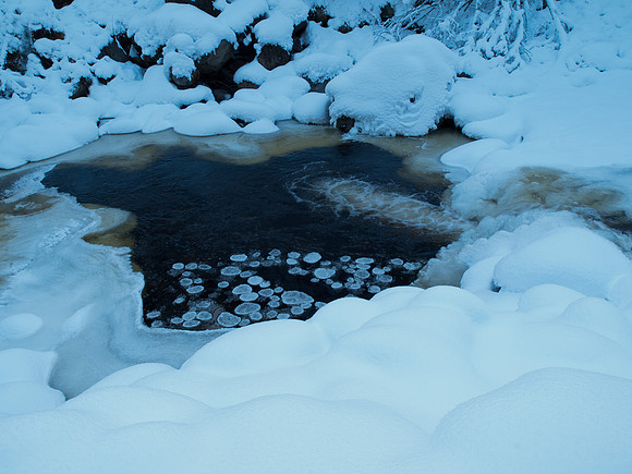 20100110-Coiltie-P1105685