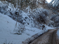 January2010-4