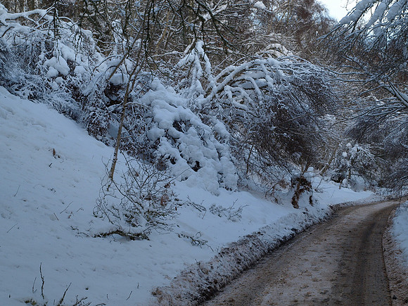 January2010-4