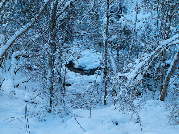 20100110-Coiltie-P1105666