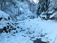 January2010-12
