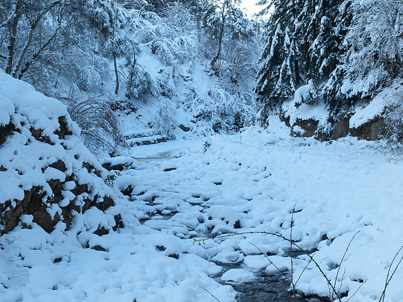 January2010-12