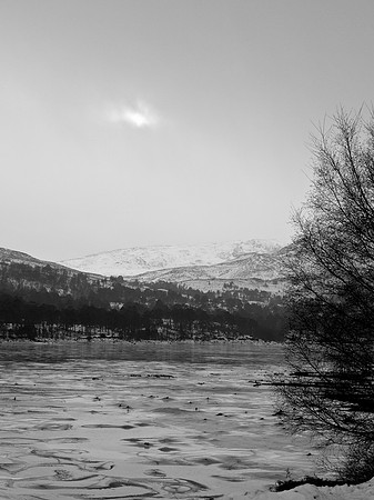 Glen Affric_2010 01 17_0282