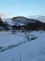 January2010-10