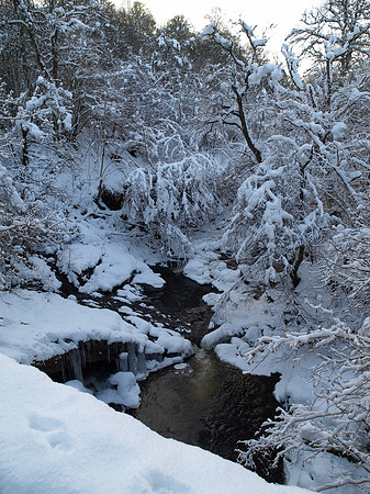 January2010-6