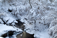Snow_2010 01 06_0187