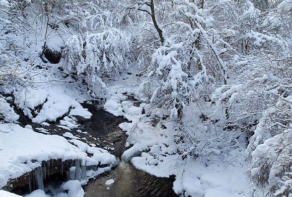 Snow_2010 01 06_0187