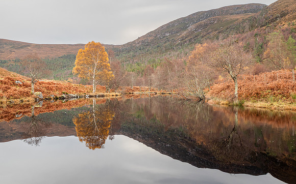 Calm Cannich Colour