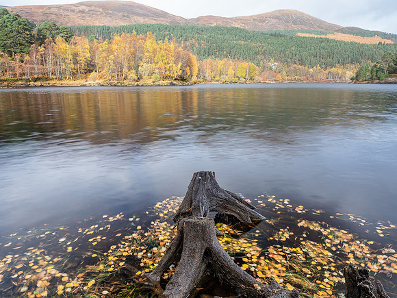 20201101-Glen Affric-EM123704