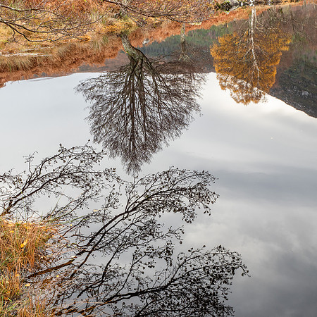 Calm Cannich Colour