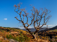 Glen Urquhart