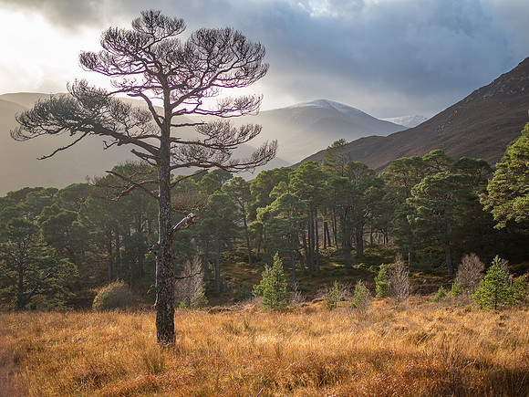 Glen Cannich Weather