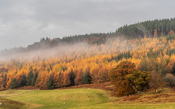 Clearing Fog