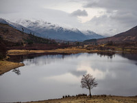 Loch Carrie