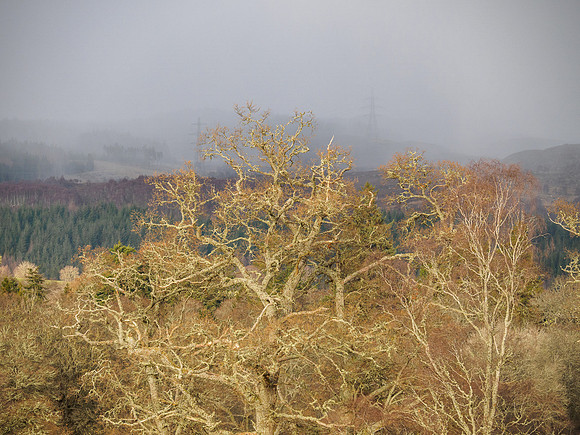 Approaching Snow
