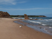 20110604-Cullen-Q6041294