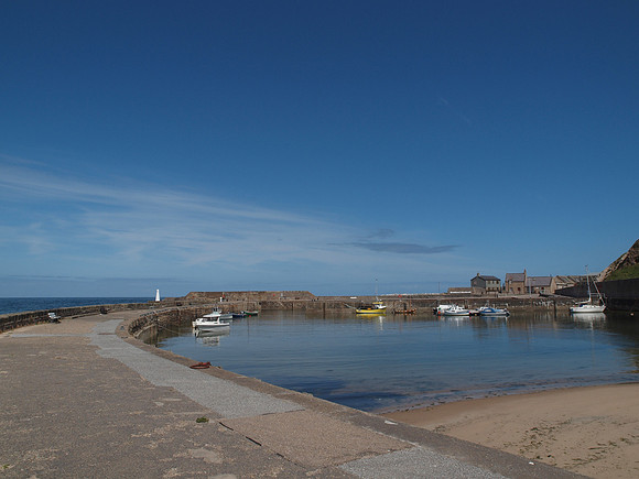20110604-Cullen-Q6041290