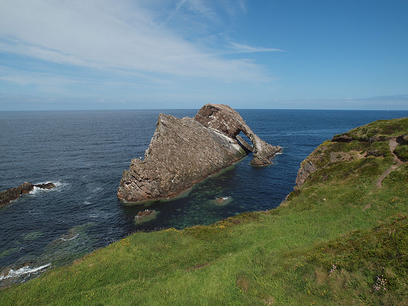 20110604-Cullen-Q6041364