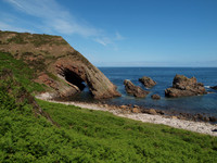 20110604-Cullen-Q6041342