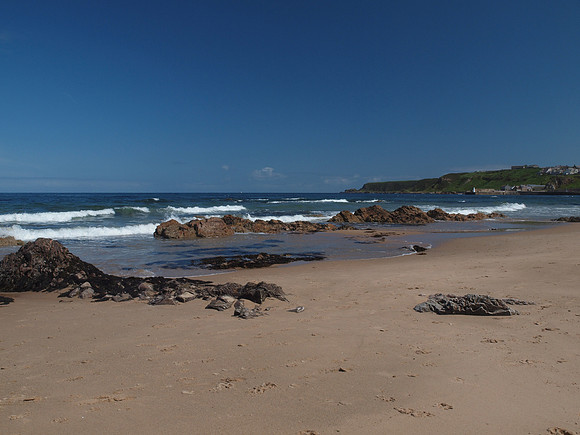 20110604-Cullen-Q6041303