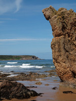 20110604-Cullen-Q6041298