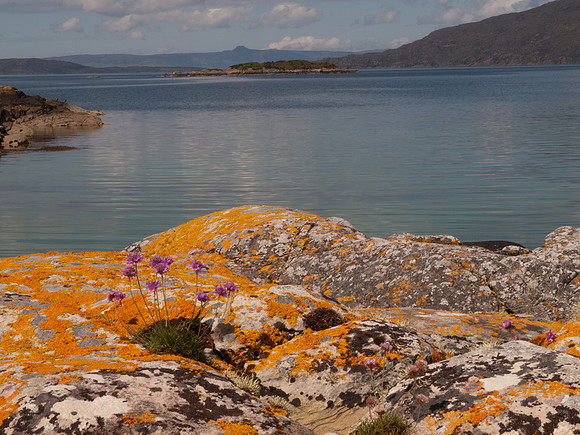 Port Luinge_1313