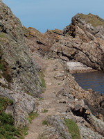 20110604-Cullen-Q6041329