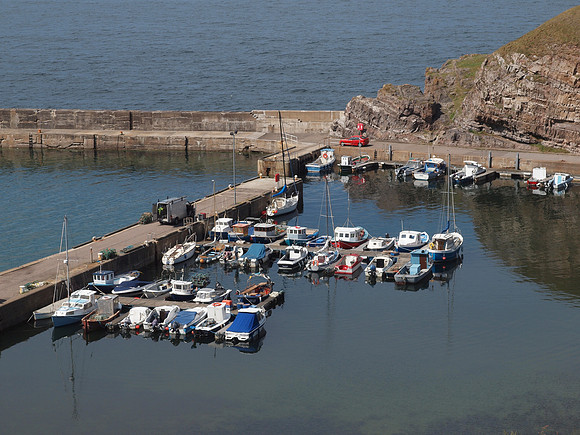 20110604-Cullen-Q6041380