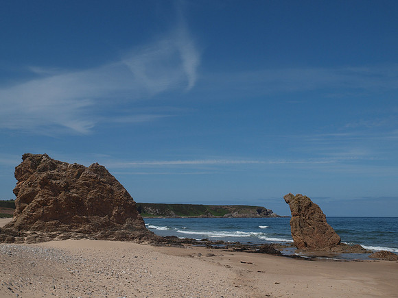 20110604-Cullen-Q6041296