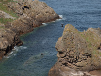 20110604-Cullen-Q6041378