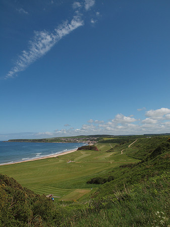 20110604-Cullen-Q6041385