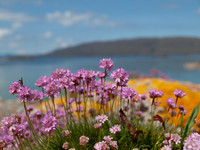 Port Luinge_1310