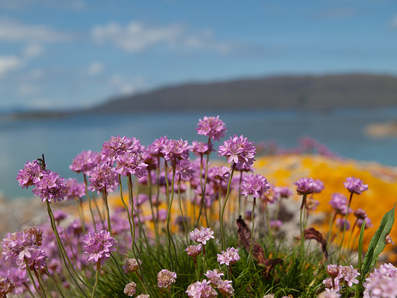 Port Luinge_1310