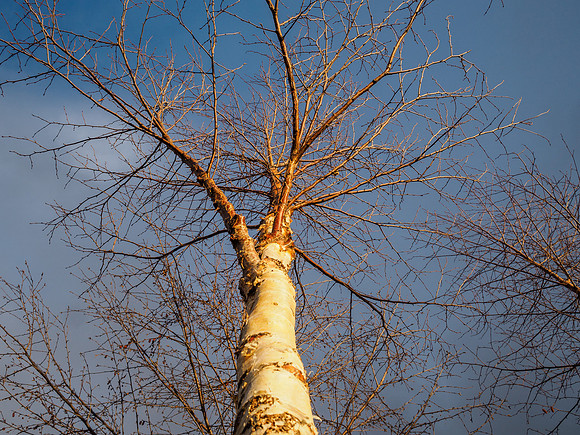20161211-Test-EM520001