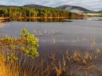 Loch Morlich