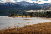 Loch Morlich