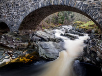 Feshiebridge