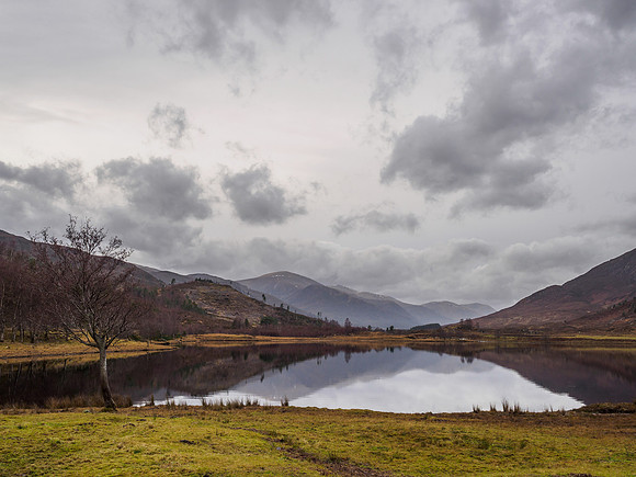 Loch Carrie Calmness