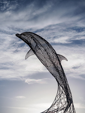 Dolphin