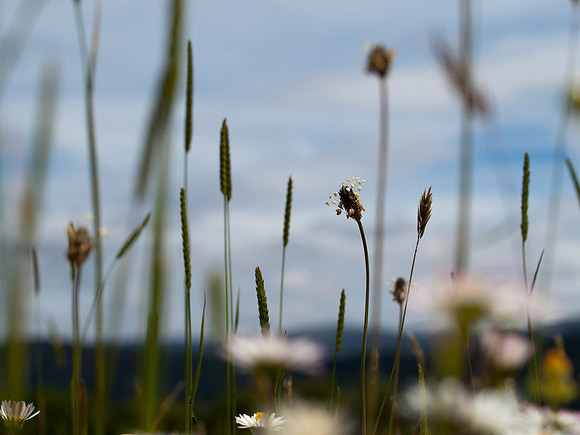 Grotaig_1660