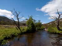 Glen StrathFarrar_1535