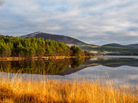 Loch Morlich