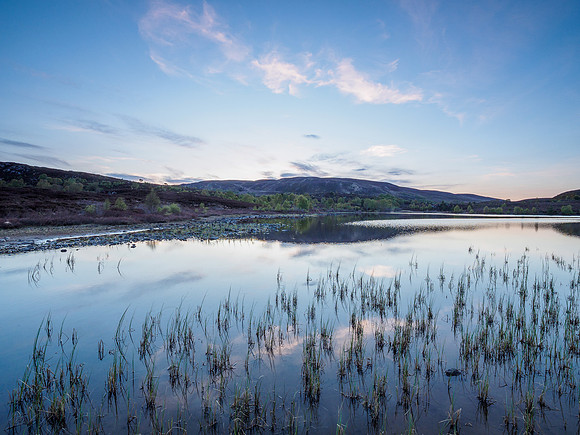 Local Loch
