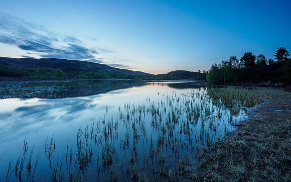 Local Loch