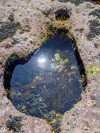 Rockpool
