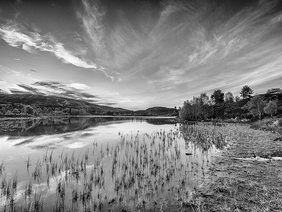 Local Loch