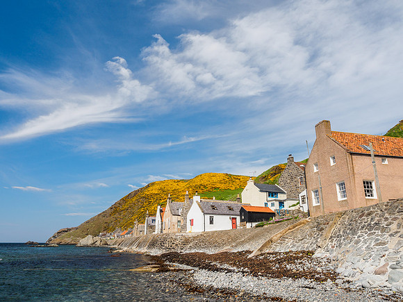 Crovie