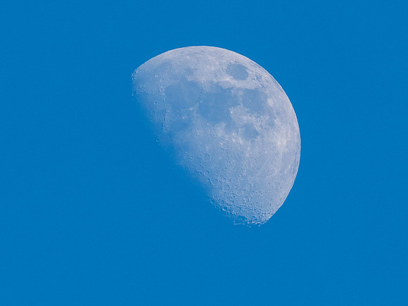 Blue Moon